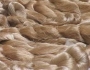 Skeins of muga silk.