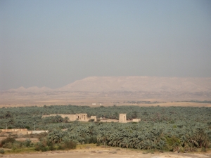 Kharqa Oasis, Western Desert, Egypt.