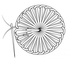 Schematic drawing of a buttonhole eyelet.