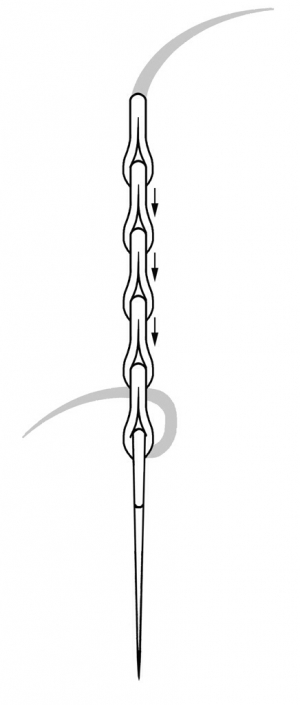Schematic drawing of a split stitch.