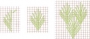 Schematic drawing of a fir or leaf stitch.