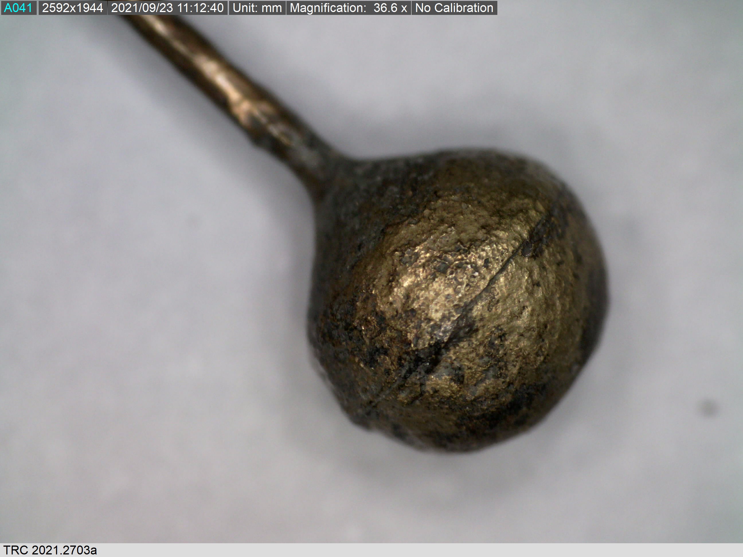 Two concave discs fastened together to make a ball shaped pin head. Zeeland, pre-1532. 36.6 magnification, Dino-Lite microscope (TRC 2021.2703a).