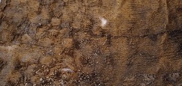 Fig. 1.Find JO-4-4 of a ciselé velvet with satin ground, Jodenbreestraat Amsterdam, 1575-1650. Photograph: Martine Benot-Teunissen